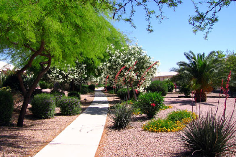 Sun Lakes, AZ Ironoaks HOA Country Club Walking Path