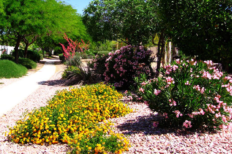 Sun Lakes, AZ Ironoaks HOA Country Club Walking Path