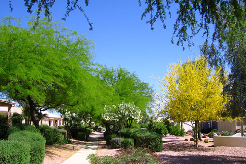 Sun Lakes, AZ Ironoaks HOA Country Club 3 Mile Walking Path