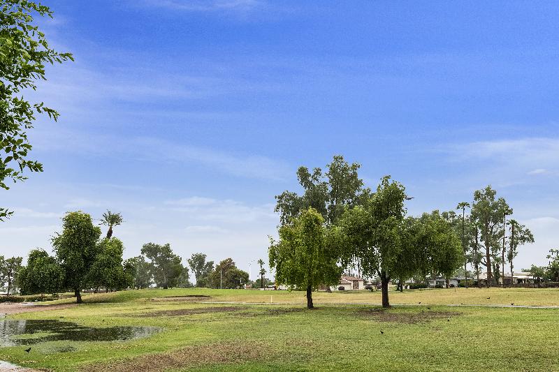 Sun Lakes of Arizona Real Estate